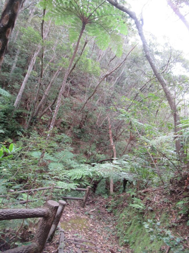 工事中で行けないところは引き返しました。<br />それでだいたい、1時間くらいでした。<br />もし、もっと写真を撮ったり、生き物を観察していたりすれば、さらに時間がかかると思います。