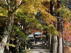 「箱根ビジターセンター」に戻って、車で仙石原方面へ移動。やって来たのは「長安寺」というお寺。