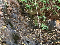 白根不動の湧水