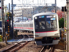 東急・都営三田線直通西高島平行に乗って、帰りました。二俣川駅から西谷駅の間は、10分間隔で東京都方面へ乗り入れる電車が来る。
おわり
