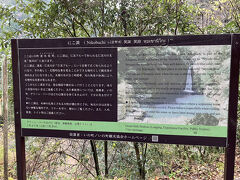 到着したのはにこ淵というスポット。

こちらは静かに近寄った方がいいそうです。
神聖な場所だそうです。