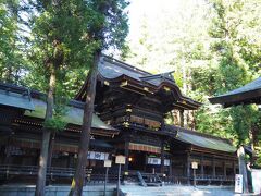 ★諏訪大社下社春宮

【幣拝殿】
拝殿奥にご神木の杉があるようです