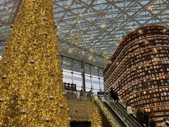 COEXモールの定番の観光スポット、ピョルマダン図書館に来ました。