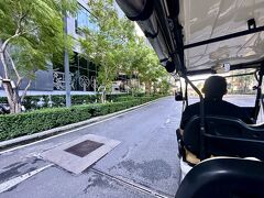 【日本から帰還】

そろそろ（11月末）寒くなってきた日本を離れ（脱出し）、バンコクに戻ってきた翌日...

あゝ、この時期、そよ風が最高に気持ち良いなぁぁ...南国は...

あゝ、最高～～!!