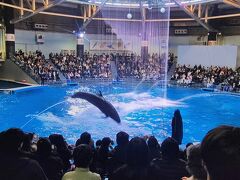 そして、ちょうどよい感じで最後列ながら、座れる２席を発見し、ハッピーニューイヤーショーを楽しみました。