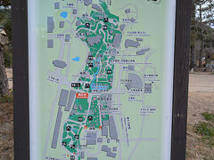 隣接している円山公園にも寄りました。