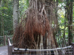 途中、レッドピーク駅で乗り換えです。