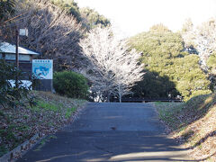 臼井城　地形が残っており、周囲との高低差が有ります　文明10年旧暦12月(1479年１月)の境根原合戦の激戦地だったそうです。太田道灌（どうかん）公の弟または甥と言われている太田資忠（すけただ、図書助）公がこの合戦で討ち死にされたそうです