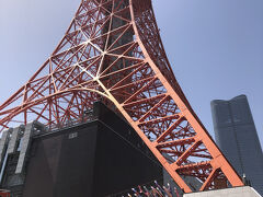 増上寺を出ると5分もかからずすぐ東京タワー。鯉のぼりも気持ちよさそう。