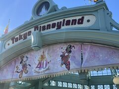 2日目は丸一日空いてるので、どうしようか散々悩んだ挙句、ひとりディズニーすることに。
前日ホテルに戻ってから急遽チケットを購入。

一人だし、翌日はまたライブ行くから、夕方頃まで居ればいいかなーなんて思いながら9:30頃にディズニーランドへ到着。