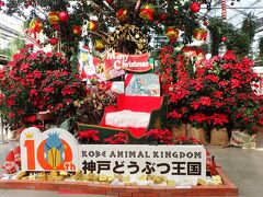神戸どうぶつ王国