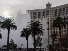 ちょうど噴水ショーが(ﾟ∀ﾟ)ｱﾋｬ