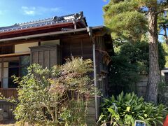 伊東東郷記念館庭から撮影