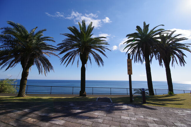 青島神社の駐車場から車で５ふんほどで堀切峠に到着。ヤシの木が宮崎っぽいです。