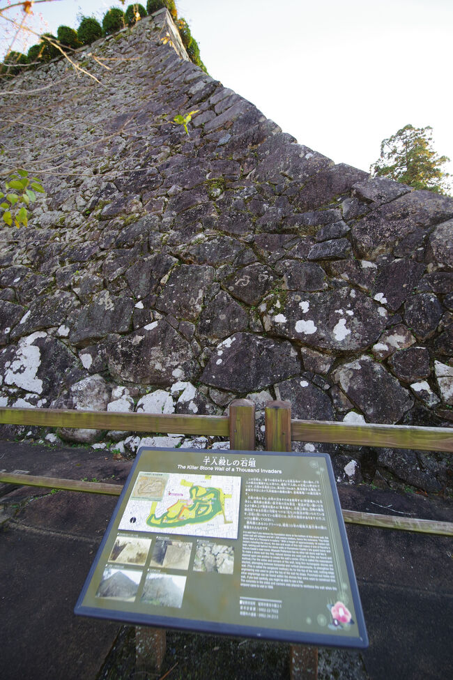 ホテルに荷物を置き、街を散策しました。向かったのは延岡城址。千人殺しの石垣というのが見られました。