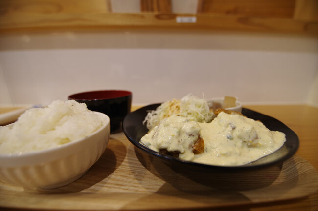 宮崎といえばチキン南蛮。ようやく食べられました。<br />延岡は駅前が便利でした。