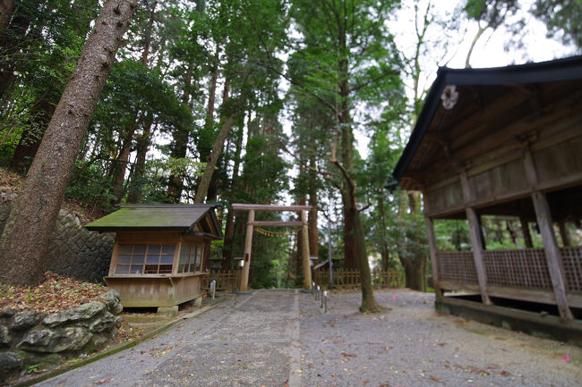 天岩戸神社の西本宮では無料のガイドツアーがありました。その後東本宮へ。こちらは人も少なく静かでした。