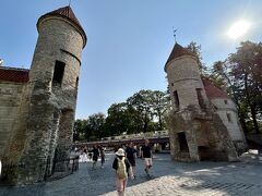 人の流れに沿って歩いていくと、旧市街地の玄関ヴィル門に到着
