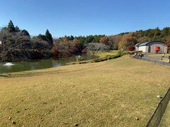 広々とした芝生と池が見えてきました。陽当たりが良く、暖かい日差しです。池を見ながらベンチでのんびりする人もいます。