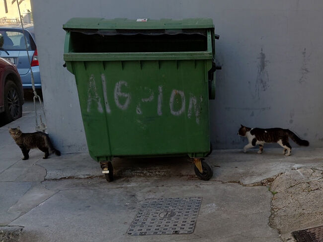 インフォメーションセンターに行く途中で、もう猫ちゃんと会いました。