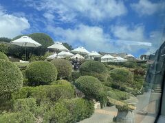 最後は「マッド・ブリック・ワイナリー」。
