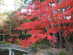 輪王寺庭園