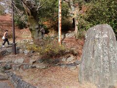 桂川沿いに戻って、嵯峨嵐山文華館の脇を川沿いに進み、嵐山公園（亀山地区）を散策