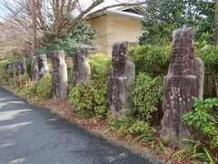 宝厳院の対面にある旅館 らんざん沿い道には、なんのいわれがあるのか、石像が並んでいます