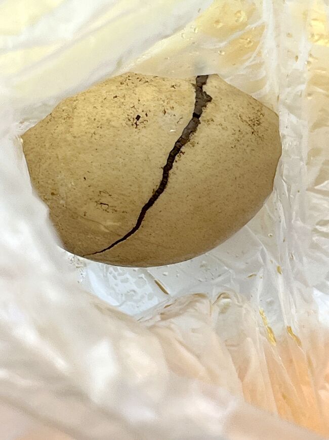 その２<br /><br />茶葉蛋<br />大好き♪