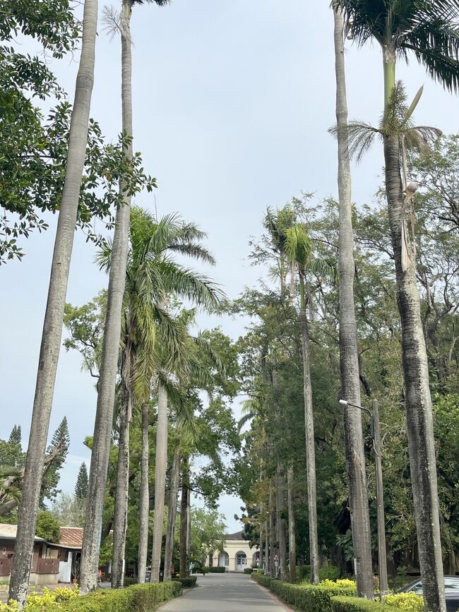 ワクワク<br /><br />製糖工場跡地を見学します