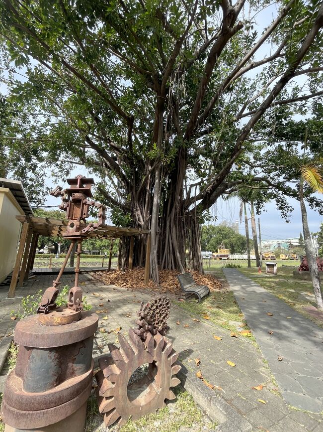 すっごい大きな木とオブジェ