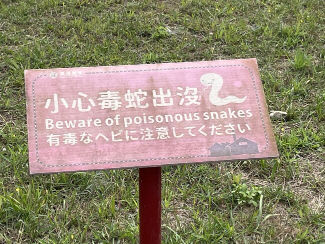 毒蛇は嫌だ！！！<br />絵の蛇はちょっとかわいい