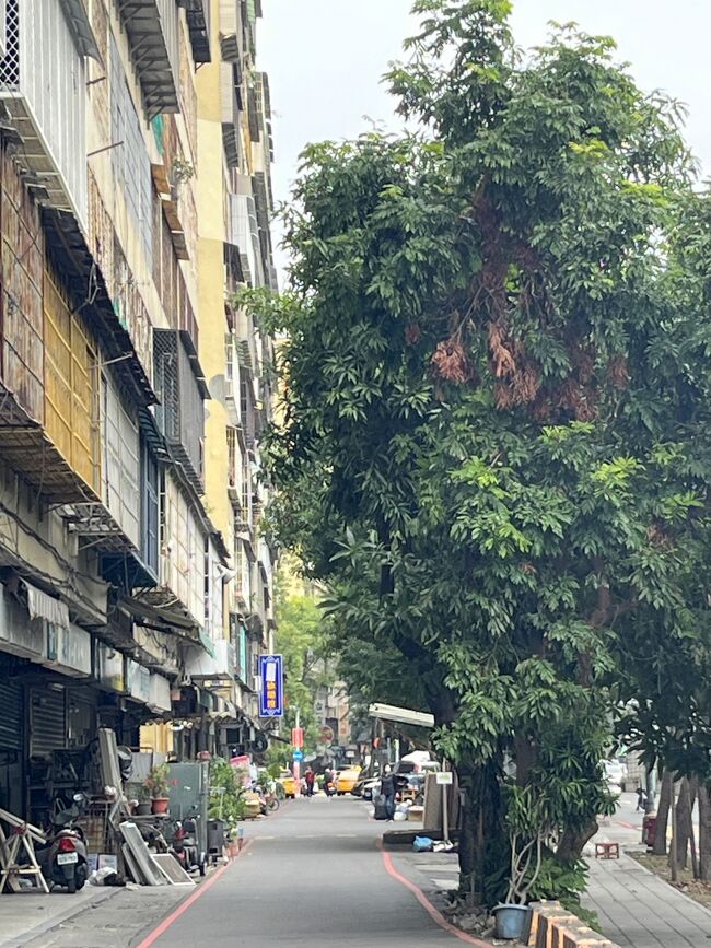 樹がわさわさしてる