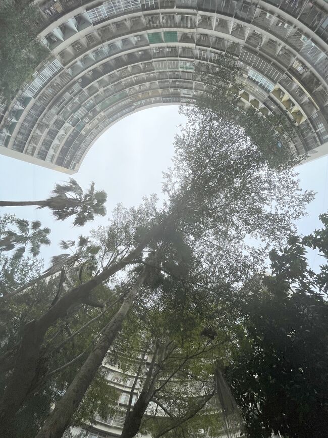 広角で撮ると円になります