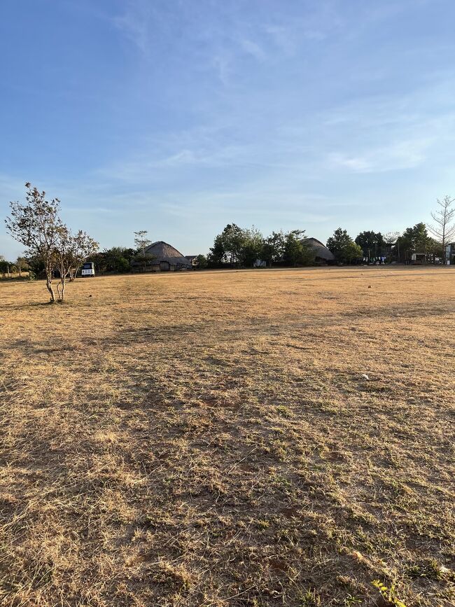 モンドルキリ州のプータン村の１月には黄色になりました。