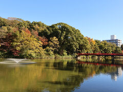 少しだけど、天王寺公園も紅葉がきれいでした。