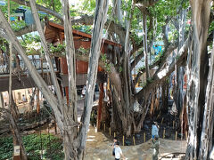 インターナショナルマーケットプレイスの雰囲気って本当に良いですよね！

お店も魅力的ですし、ビビッドな雰囲気がして大好きです！