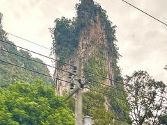 【まだ雨が残るクラビ（ピークシーズン直前）に行ってみた】

意外に時間が掛かる事...掛かる事...

まあ、窓の外をのんびり眺めていれば楽しめるし、急いでないし、私は別にいいんだけど...