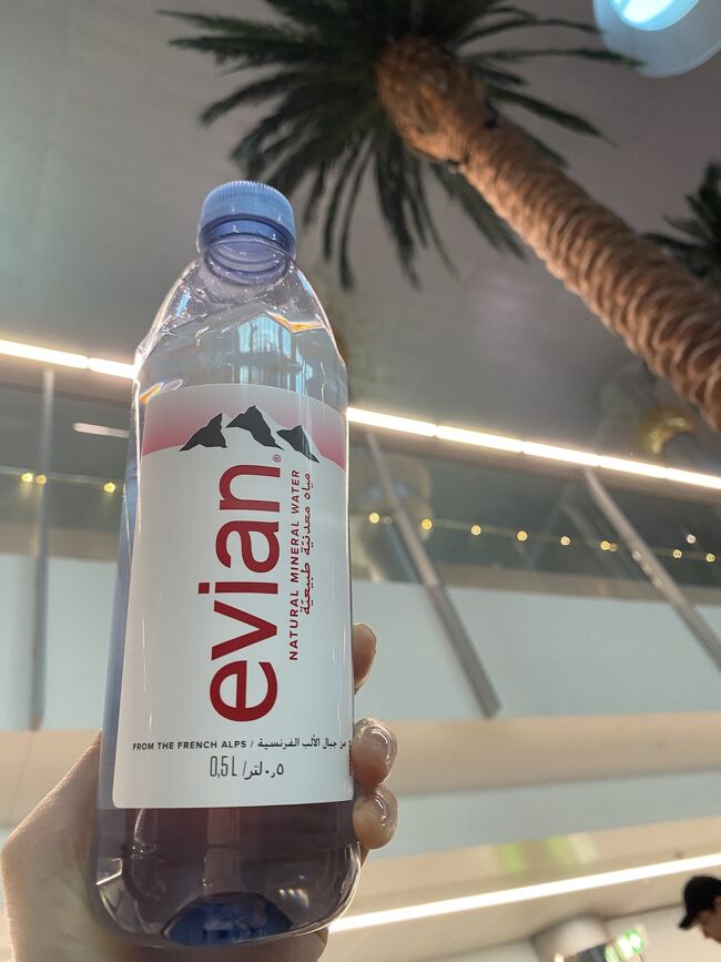 イスタンブール : トルコ トルコ3都市 Day1 イスタンブールへ』イスタンブール(トルコ