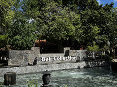 バリコレにも行ってまいりました。