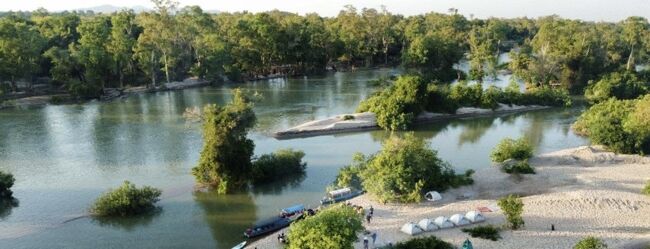 メコン川のエコツアーコッハン島のマングローブ森です。