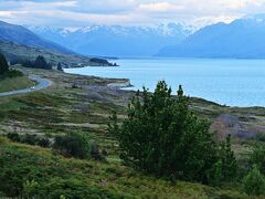 朝よりは天気が良かったので，途中プカキ湖展望台に寄ったりしながらゆっくりテカポへ戻ります。