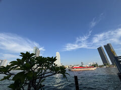 元日でも日中の気温は30度ほど。半袖短パンで爽快な元旦でした。