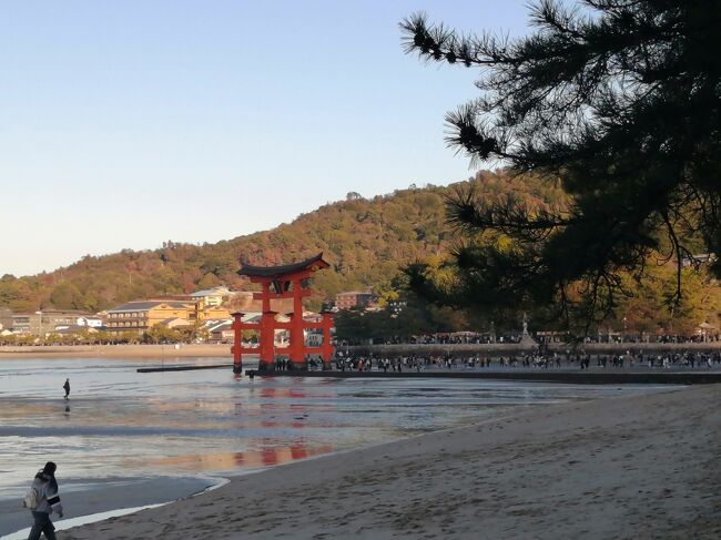 来た道を戻ります