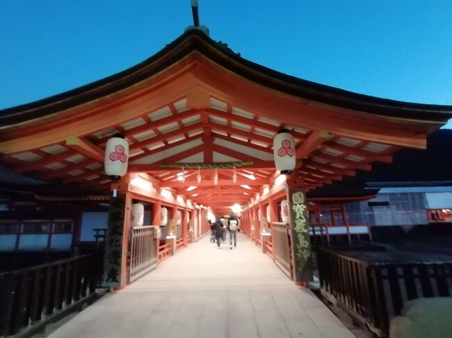 拝観料は300円です