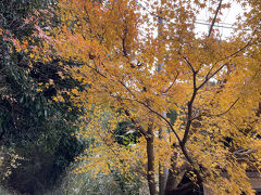 急な坂を登ったら直ぐ左手に階段があるところを左
天園ハイキングコースはここから開始です

階段のところにはお茶屋さん？があります