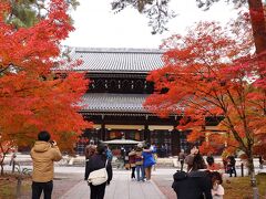 さて、またタクシーに乗り南禅寺まで来ました。時間を有効に使うにはタクシーが一番です。私のように年に2～3回しか遠出できない者にとってはお金よりも時間の無駄が一番辛いので。実はこのタクシーの運転手さん、外国人の方でした。それも、東南アジア系の顔をしていました。言葉が通じるかが不安でしたが、何とかなりました。京都もコロナで運転手もタクシーの台数も減らしたのですが、こうやって徐々に挽回してきたのですね。おかげで、今回の旅では、このモミジの混む時期にタクシー待ちすることは1回もありませんでした。どこでもすぐひろえました。ここは法堂前です。モミジはいい色に染まっています。