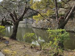 菅生神社をすぎるとすぐ、岡崎城がある岡崎公園に入ります
植え込みの後ろにはお掘りがありました