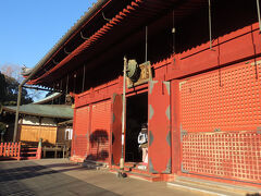 上野新春12　上野恩賜公園　　19/　　8