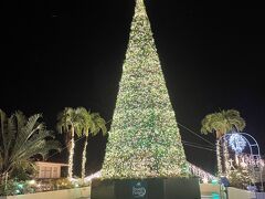 メインのシンボルツリーも見ることができました